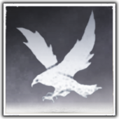 Eaglerise icon