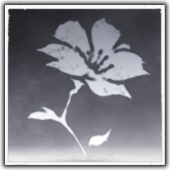 Ivorybloom icon